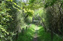 Easygoing Nature Walk in Hakone Tour