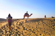 Overnight Camel Safari - Sleeping under the Stars