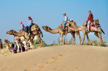 Overnight Camel Safari - Sleeping under the Stars