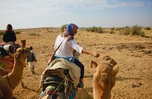 Overnight Camel Safari - Sleeping under the Stars
