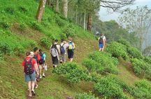 Full-Day Hike and Bike Tour from Chiang Mai