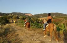 Bodrum Horse Riding Experience w/ Hotel Transfer Service