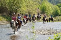 Bodrum Horse Riding Experience w/ Hotel Transfer Service