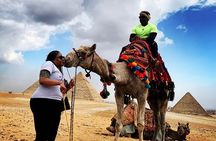 Sunset Camel Ride and Light Show from Cairo