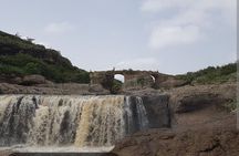 Day Trips from Addis Ababa See Monastery, Nature, Animals, Birds