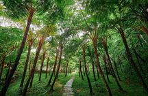 Discover Full Day Tour Doi Inthanon National Park from Chiang Mai