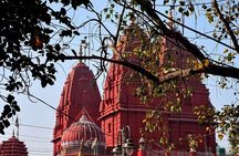Unlock Delhi's Secrets: Food and Photography Full Day Tour