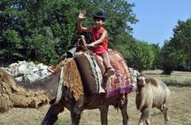 Fethiye Camel Riding at Gosht Town 
