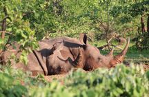 Game drive in the Mosi Oa Tunya National Park - Livingstone