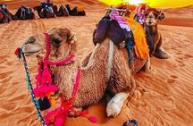 3 Days Group Tour from Marrakech to Merzouga Desert