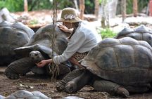 Zanzibar : Half-Day Prison Island and Jozani Forest Tour