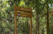 27 Waterfalls Adventure Private Tour in Charcos de Damajagua