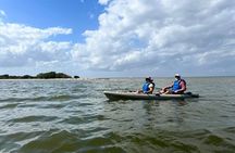 Space Coast Manatee & Coastal Wildlife Kayak Tour