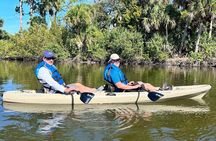 Space Coast Manatee & Coastal Wildlife Kayak Tour