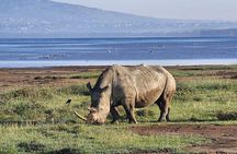 Lake Naivasha And Lake Nakuru Overnight Tour