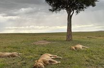Lake Naivasha And Lake Nakuru Overnight Tour