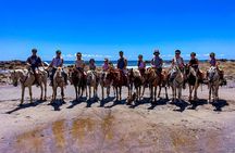 Jaco Beach Costa Rica Horseback Riding