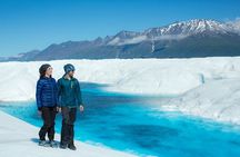 Alaska Helicopter Tour with Glacier Landing - 60 mins - ANCHORAGE AREA