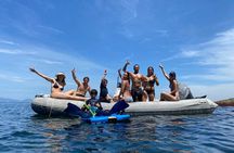 Boat Tour - Snorkeling with Turtles or Whale Watching Experience