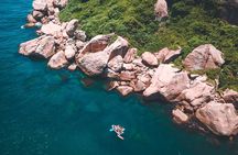 Boat Tour - Snorkeling with Turtles or Whale Watching Experience