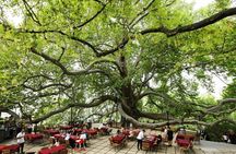 Full Day Guided Tour to Bursa with Lunch and Cable Car
