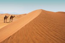 Desert Safari Abu Dhabi w/ Sand Boarding, Camel Ride & BBQ Dinner