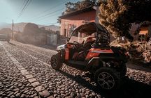 Villages tour by Mule / buggy