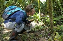 3-Day Jungle Adventure from / to Tena - Napo Amazon Region