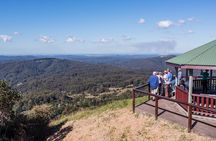 Scenic Hinterland Guided Day Tour Inc Lunch, Tastings From Noosa