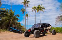 Drive a UTV Can-Am on a Beach Tour in San Juan Puerto Rico