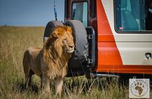5-Day 4 Nights Masai Mara-L Nakuru-Hell's Gate Budget Safari
