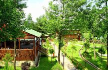 Sapanca Lake & Masukiye Tour From Istanbul