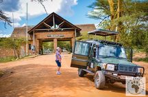 5-Day 4 Nights Masai Mara-L Nakuru-Hell's Gate Budget Safari