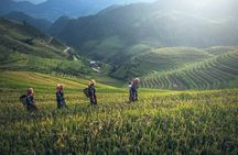From Hanoi: 3 Days Sapa Trekking & Ethnic Villages by Dcar