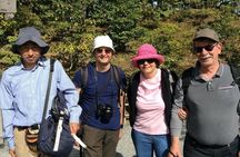 Private Guided Custom Walking Tour in Osaka