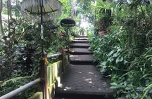 Purification Holy Bath at Beji Gria Waterfall 