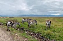 03 days Serengeti and Ngorongoro Crater group (camping)