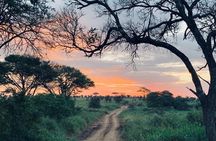 03 days Serengeti and Ngorongoro Crater group (camping)