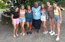 Private Tour :Best of Nadi 