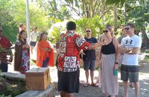 Private Tour :Best of Nadi 