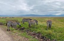 04 Days Tarangire, Serengeti and Ngorongoro crater group (Camping