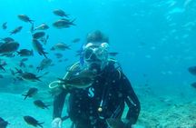 Private Diving Cyprus Experience Protaras and Ayia Napa & Turtles