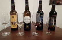 Indulge in Cordoba: Local Wines & Tapas Tasting