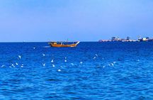 Full Day licensed Tours in Kuwait City & Desert PickUp & DropOff