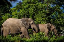 3 Days Zaina Luxury Experience Mole Safari