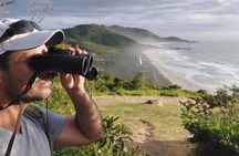 Birding Iguazu Explorer Private Tour