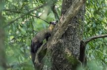 Popular One-Day Hiking Options near Kathmandu