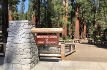 Yosemite Highlights Small Group Tour