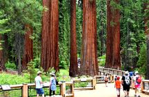 Yosemite Highlights Small Group Tour