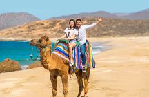 UTV and Camel Ride in the Cabo Desert